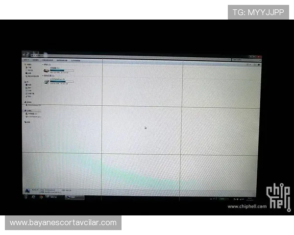 pa电子电脑版的用户评价与反馈，真实用户体验分享与建议