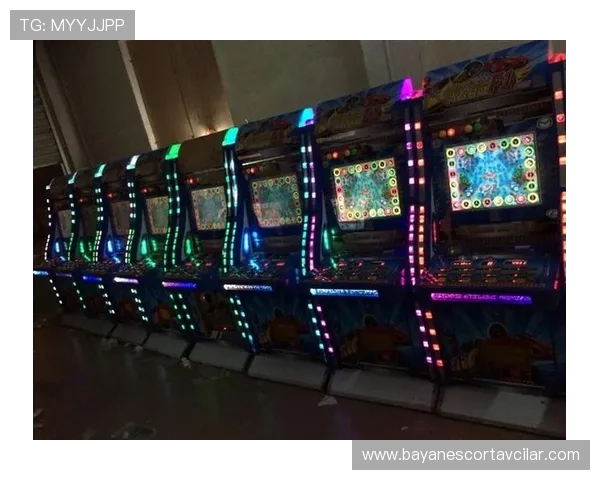 正规老虎机游戏平台全天候客服支持，解决玩家所有后顾之忧