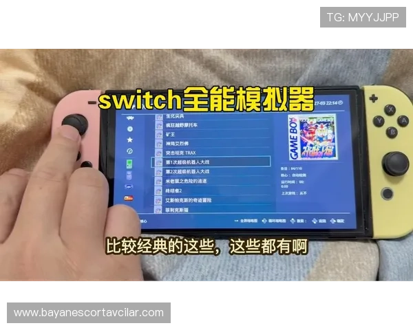 丰富的FC游戏ROM资源库，支持多种模拟器一键下载与快速安装