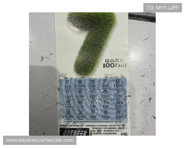 全面解析角子老虎机am7的游戏技巧与策略提升你的中奖几率实现财富自由