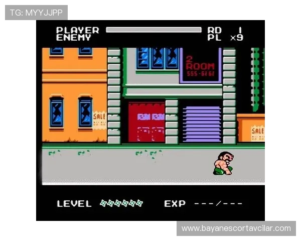 如何在iOS设备上快速安装FC游戏下载,详细步骤与常见问题解答 如何在iOS设备上快速安装FC游戏下载,详细步骤与常见问题解答