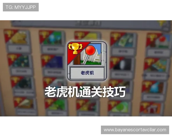 老虎机备用平台的作用与使用技巧详解 老虎机备用平台的作用与使用技巧详解