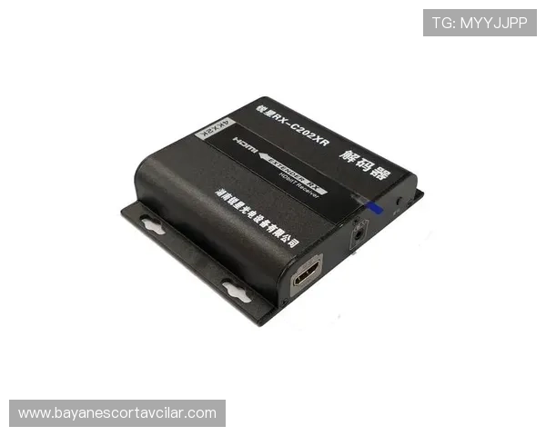 老虎机游戏机解码器的维护与升级技巧,延长设备使用寿命的实用方法 老虎机游戏机解码器的维护与升级技巧,延长设备使用寿命的实用方法